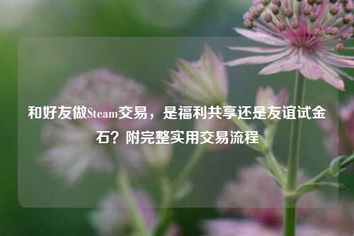 和好友做Steam交易，是福利共享还是友谊试金石？附完整实用交易流程