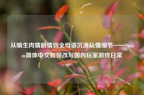 从啃生肉猜剧情到全母语沉浸玩懂细节——Steam简体中文如何改写国内玩家游戏日常