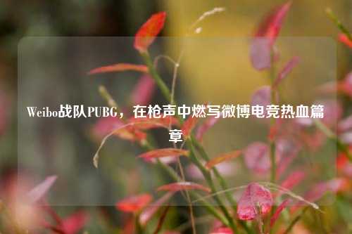 Weibo战队PUBG,在枪声中燃写微博电竞热血篇章
