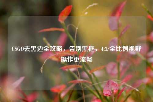 CSGO去黑边全攻略,告别黑框,4:3/全比例视野操作更流畅