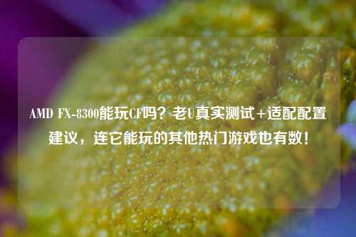AMD FX-8300能玩CF吗?老U真实测试+适配配置建议,连它能玩的其他热门游戏也有数!