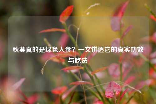 秋葵真的是绿色人参?一文讲透它的真实功效与吃法