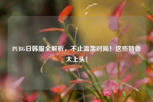 PUBG日韩服全解析，不止温柔对局！这些特色太上头！