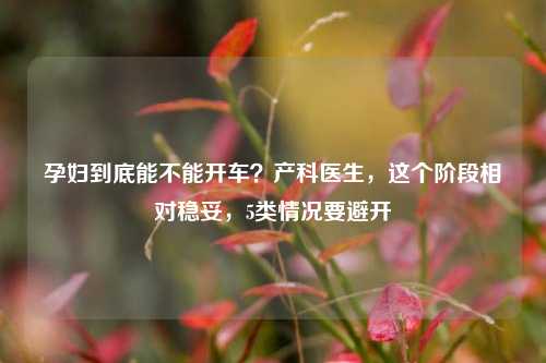 孕妇到底能不能开车?产科医生,这个阶段相对稳妥,5类情况要避开