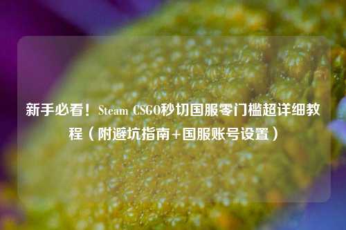 新手必看!Steam CSGO秒切国服零门槛超详细教程(附避坑指南+国服账号设置)