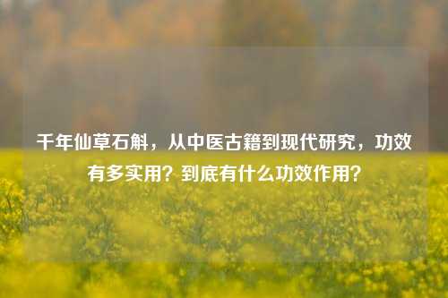 千年仙草石斛，从中医古籍到现代研究，功效有多实用？到底有什么功效作用？