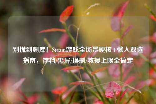 别慌到删库！Steam游戏全场景硬核+懒人双选指南，存档/黑屏/误删/救援上限全搞定