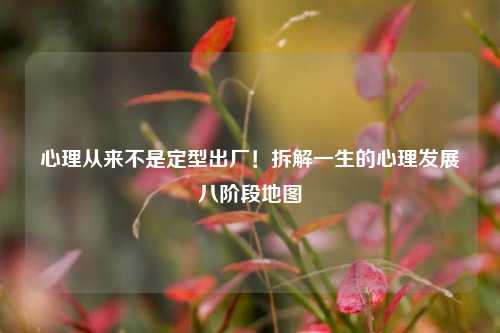 心理从来不是定型出厂!拆解一生的心理发展八阶段地图