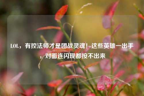 LOL,有控法师才是团战灵魂!这些英雄一出手,对面连闪现都按不出来