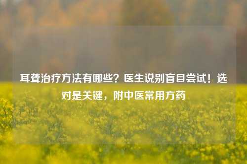 耳聋治疗方法有哪些?医生说别盲目尝试!选对是关键,附中医常用方药