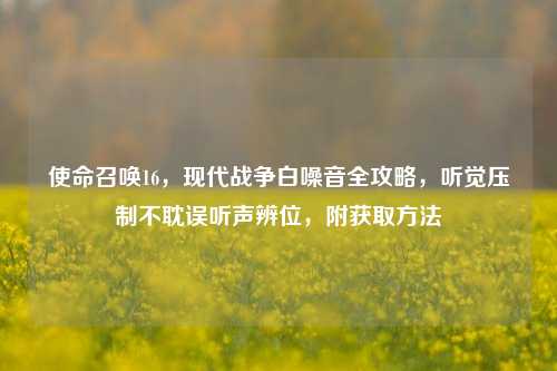 使命召唤16,现代战争白噪音全攻略,听觉压制不耽误听声辨位,附获取方法