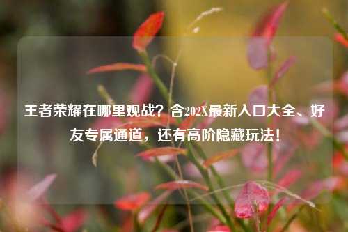 王者荣耀在哪里观战?含202X最新入口大全、好友专属通道,还有高阶隐藏玩法!