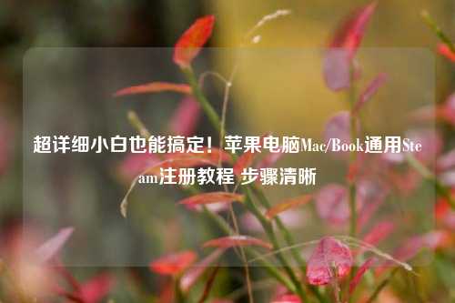 超详细小白也能搞定！苹果电脑Mac/Book通用Steam注册教程 步骤清晰