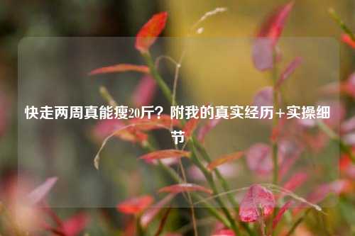 快走两周真能瘦20斤？附我的真实经历+实操细节