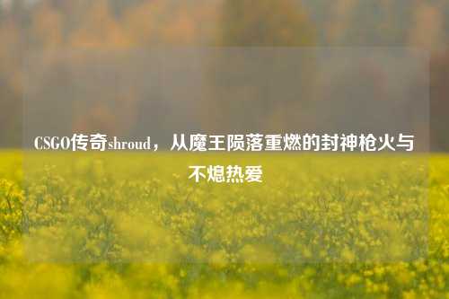 CSGO传奇shroud,从魔王陨落重燃的封神枪火与不熄热爱
