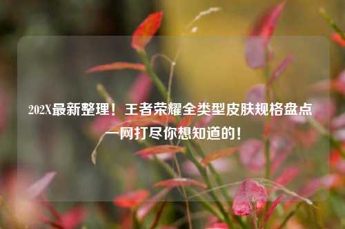 202X最新整理！王者荣耀全类型皮肤规格盘点 一网打尽你想知道的！