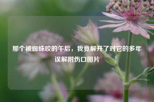 那个被蜘蛛咬的午后,我竟解开了对它的多年误解附伤口图片