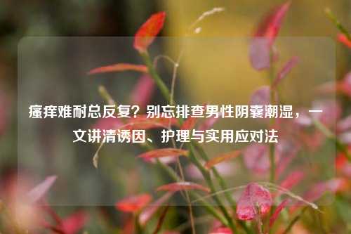 瘙痒难耐总反复?别忘排查男性阴囊潮湿,一文讲清诱因、护理与实用应对法