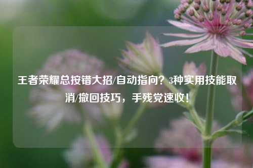 王者荣耀总按错大招/自动指向？3种实用技能取消/撤回技巧，手残党速收！