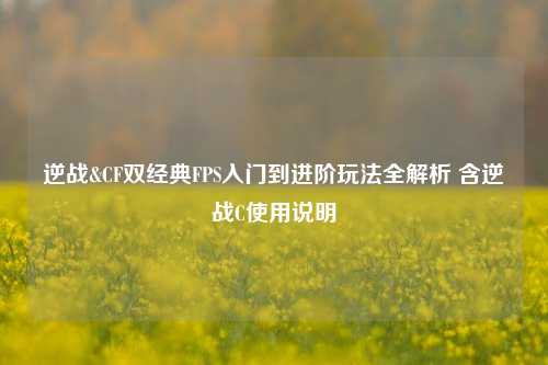 逆战&CF双经典FPS入门到进阶玩法全解析 含逆战C使用说明