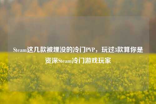 Steam这几款被埋没的冷门PVP,玩过3款算你是资深Steam冷门游戏玩家