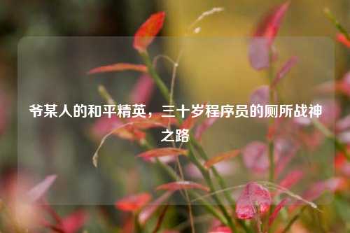 爷某人的和平精英,三十岁程序员的厕所战神之路