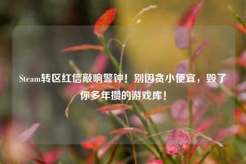 Steam转区红信敲响警钟！别因贪小便宜，毁了你多年攒的游戏库！