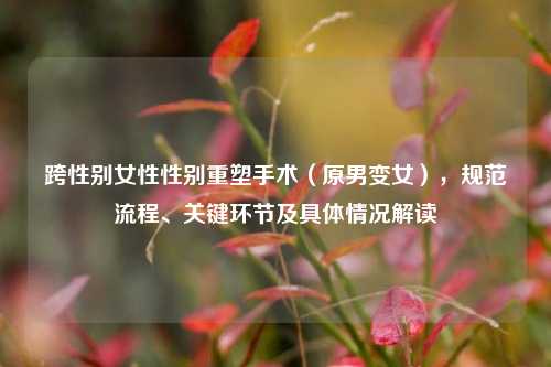跨性别女性性别重塑手术(原男变女),规范流程、关键环节及具体情况解读