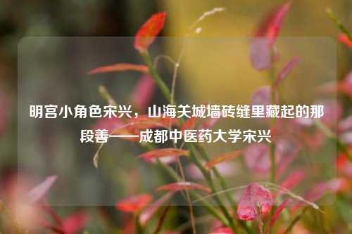 明宫小角色宋兴,山海关城墙砖缝里藏起的那段善——成都中医药大学宋兴
