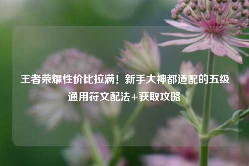 王者荣耀性价比拉满！新手大神都适配的五级通用符文配法+获取攻略