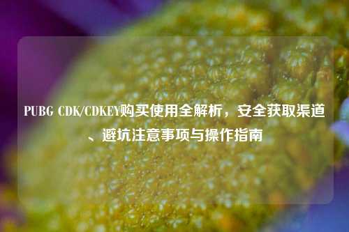 PUBG CDK/CDKEY购买使用全解析,安全获取渠道、避坑注意事项与操作指南