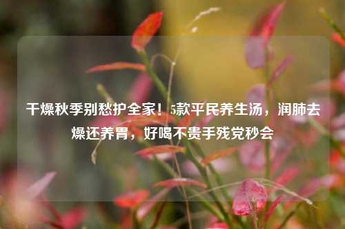 干燥秋季别愁护全家!5款平民养生汤,润肺去燥还养胃,好喝不贵手残党秒会