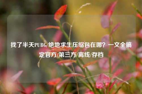 找了半天PUBG/绝地求生压缩包在哪?一文全搞定官方/第三方/离线/存档