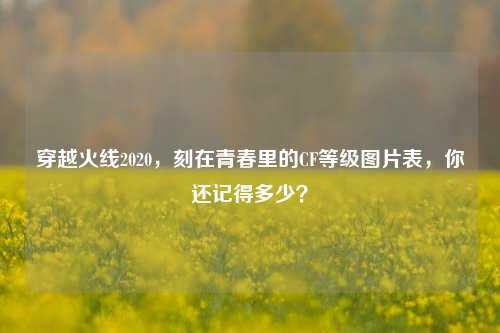 穿越火线2020,刻在青春里的CF等级图片表,你还记得多少?