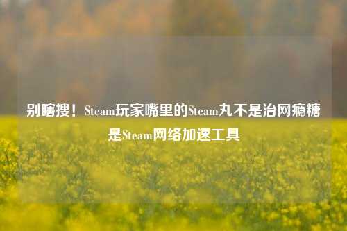 别瞎搜！Steam玩家嘴里的Steam丸不是治网瘾糖是Steam网络加速工具
