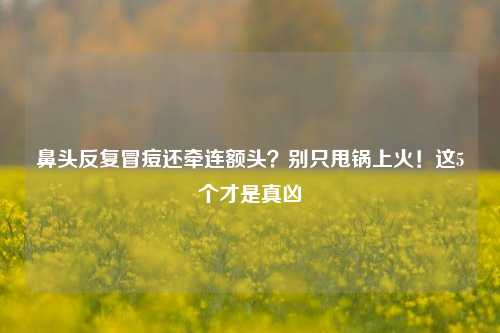 鼻头反复冒痘还牵连额头?别只甩锅上火!这5个才是真凶