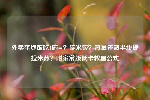 外卖蛋炒饭吃1碗=?碗米饭?热量还超半块提拉米苏?附家常版低卡救星公式