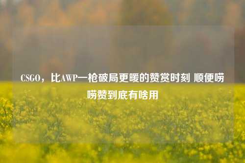 CSGO，比AWP一枪破局更暖的赞赏时刻 顺便唠唠赞到底有啥用