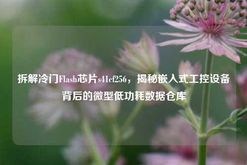 拆解冷门Flash芯片s41cf256，揭秘嵌入式工控设备背后的微型低功耗数据仓库