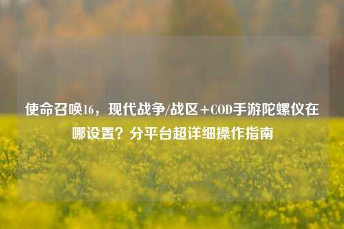 使命召唤16，现代战争/战区+COD手游陀螺仪在哪设置？分平台超详细操作指南