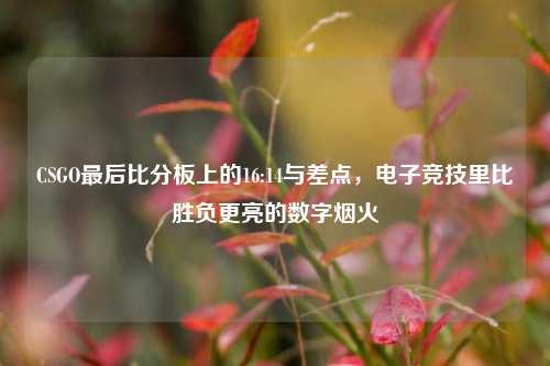 CSGO最后比分板上的16:14与差点，电子竞技里比胜负更亮的数字烟火