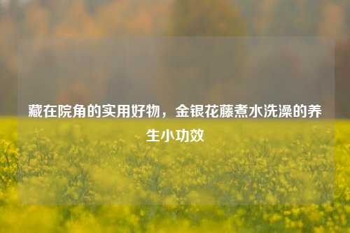 藏在院角的实用好物，金银花藤煮水洗澡的养生小功效