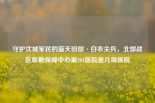守护沈城军民的蓝天旧部·白衣尖兵,北部战区联勤保障中心第201医院是几级医院