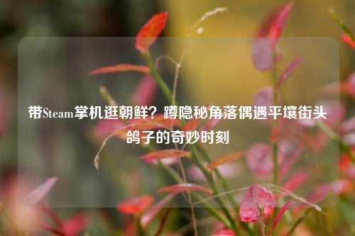 带Steam掌机逛朝鲜？蹲隐秘角落偶遇平壤街头鸽子的奇妙时刻