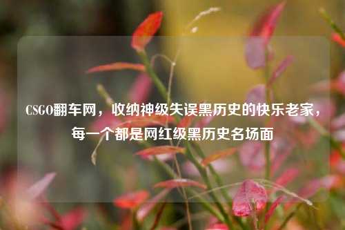 CSGO翻车网,收纳神级失误黑历史的快乐老家,每一个都是网红级黑历史名场面