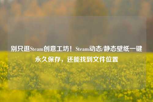 别只逛Steam创意工坊！Steam动态/静态壁纸一键永久保存，还能找到文件位置