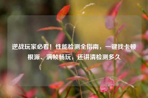 逆战玩家必看!性能检测全指南,一键找卡顿根源、满帧畅玩,还讲清检测多久