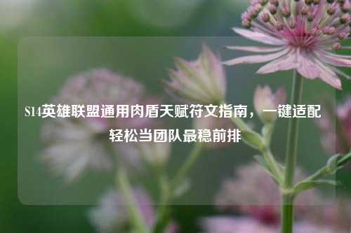 S14英雄联盟通用肉盾天赋符文指南，一键适配 轻松当团队最稳前排