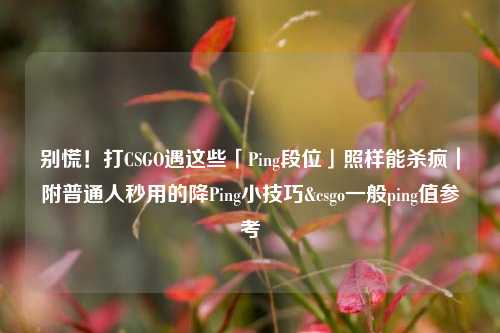 别慌！打CSGO遇这些「Ping段位」照样能杀疯｜附普通人秒用的降Ping小技巧&csgo一般ping值参考
