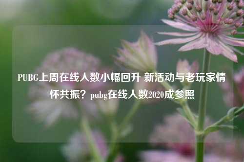 PUBG上周在线人数小幅回升 新活动与老玩家情怀共振？pubg在线人数2020成参照